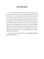 Tiểu Luận Phương Pháp Sản Xuất Theo Nhóm Và Liên Hệ Thực Tiễn Công Ty TNHH Sản Xuất Và Thương Mai Đài Việt