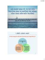 HỘI NHẬP KINH TẾ, TỰ DO HÓA THƯƠNG MẠI VÀ NHỮNG TÁC ĐỘNG TIỀM TÀNG ĐẾN MÔI TRƯỜNG