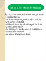 Nghị luận xã hội về bệnh thành tích trong giáo dục