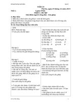 Giáo án buổi chiều Tuần TUẦN 19