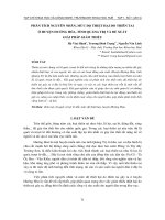 PHÂN TÍCH NGUYÊN NHÂN, MỨC ĐỘ THIỆT HẠI DO THIÊN TAI Ở HUYỆN HƯỚNG HÓA, TỈNH QUẢNG TRỊ VÀ ĐỀ XUẤT GIẢI PHÁP GIẢM THIỂU