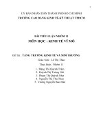 Tiểu luận môn kinh tế vĩ mô chủ đề tăng trưởng kinh tế và môi trường