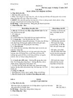 giáo án Tuần 17 lớp 5