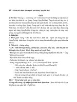 Phân tích hình ảnh người anh hùng Nguyễn Huệ