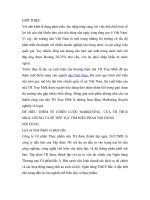 Chiến Lược Marketing Của Sản Phẩm True Milk