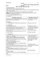 Giáo án Tuần 8 lớp 5