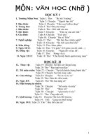 Đề cương môn văn học lớp mẫu giáo nhỡ HKI 