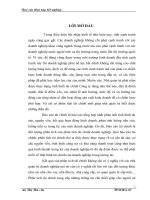 Phân tích hoạt động kinh doanh sản xuất của công ty cổ phần mỹ nghệ nghệ an