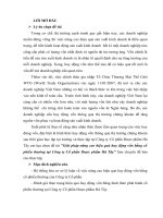 Giải pháp nâng cao hiệu quả huy động vốn bằng cổ phiếu thường tại công ty dược phẩm hà tây