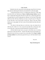 Luận án thạc sỹ kinh tế Hoàn thiện chiến lược maketing các mặt hàng inox gia dụng của công ty cổ phần gia dụng GoldSun