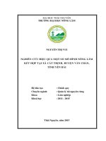 Nghiên cứu hiệu quả một số mô hình nông lâm kết hợp tại xã Cát Thịnh - huyện Văn Chấn - tỉnh Yên Bái