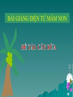 Bài giảng điện tử mầm non Lớp nhà trẻ đề tài Cây dừa