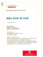 Báo cáo nền kinh tế mới