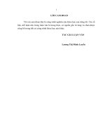 Luận án thạc sỹ kinh tế Hoàn thiện chiến lược kinh doanh của Công ty TNHH Hệ thống thông tin FPT