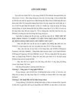 Điều chế tín hiệu trong wimax và nghiên cứu khả năng triển khai ứng dụng hệ thống wimax trên mạng viễn thông việt nam