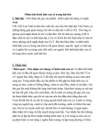 Phân tích hình ảnh con cò trong bài thơ con cò Của Chế Lan VIên