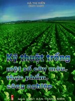 Kỹ thuật trồng một số cây màu thực phẩm công nghiệp