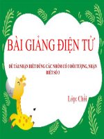 Bài giảng điện tử mầm non lớp Chồi đề tài Nhận biết hình vuông, hình tròn, hình chữ nhật