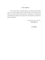 Luận văn thạc sỹ kinh tế Chính sách thu hút vốn đầu tư  nước ngoài của tỉnh Hải Dương giai đoạn 20102020.