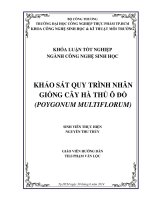 Quy trình nhân giống cây Hà Thủ ô đỏ
