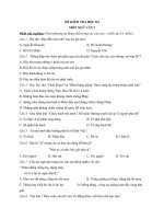 ĐỀ THI  MÔN NGỮ VĂN 7 CÓ ĐÁP ÁN