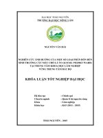 Nghiên cứu ảnh hưởng của một số loại phân bón đến sinh trưởng cây Máu chó lá to (Knema pierrei Warb) tại Trung tâm Khoa học Lâm nghiệp vùng Trung tâm Bắc Bộ