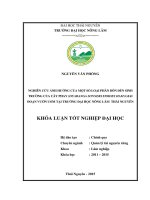 Nghiên cứu ảnh hưởng của phân bón đến sinh trưởng của cây Phay giai đoạn vườn ươm tại trường Đại Học Nông Lâm Thái Nguyên