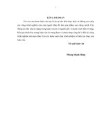 Luận án thạc sỹ kinh tế Hoàn thiện chiến lược kinh doanh tại công ty cổ phần Sài Gòn Kim Liên