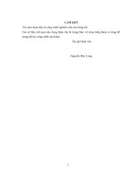 Luận văn thạc sỹ kinh tế Hoàn thiên công tác hoạch định chiến lược Marketing tại thị trường Mỹ của Công ty cổ phần Vicostone