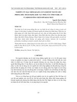NGHIÊN CỨU ĐẶC ĐIỂM QUẶNG SẮT LIMONIT NGUỒN GỐC PHONG HÓA THẤM ĐỌNG KHU VỰC PHÍA TÂY TỈNH NGHỆ AN VÀ ĐỊNH HƯỚNG THĂM DÒ KHAI THÁC