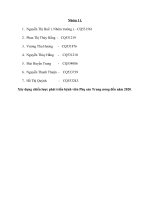 Xây dựng chiến lược phát triển bệnh viện phụ sản trung ương đến năm 2020