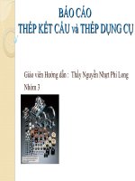 BÁO cáo THÉP kết cấu và THÉP DỤNG cụ