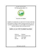 Nghiên cứu ảnh hưởng của một số yếu tố nội tại đến khả năng ra rễ của hom cây Phay , tại Trung tâm nghiên cứu Lâm nghiệp vùng núi phía Bắc, Trường Đại học Nông Lâm Thái Nguyên