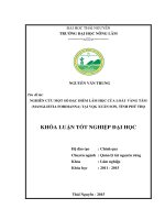 Nghiên cứu một số đặc điểm lâm học loài Vàng tâm tại vường quốc gia Xuân Sơn tỉnh Phú Thọ