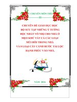 CHUYÊN ĐỀ GIÁO DỤC HỌC  BỘ SƯU TẬP NHỮNG Ý TƯỞNG  ĐỘC NHẤT VÔ NHỊ CHO NHÀ Ở   MẸO KHỬ TẤT CẢ CÁC LOẠI  MÙI HÔI TRONG NHÀ VÀ 8 LOẠI CÂY CẢNH RƯỚC TÀI LỘC  HẠNH PHÚC VÀO NHÀ.