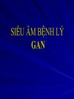 Siêu âm bệnh lý gan  Chẩn đoán hình ảnh