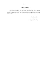 Luận văn thạc sỹ Quản lý hoạt động bảo hiểm phi nhân thọ của công ty bảo hiểm PJICO