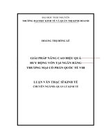 Giải pháp nâng cao hiệu quả huy động vốn tại ngân hàng thương mại cổ phần quốc tế việt nam (VIB)