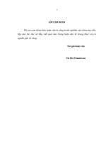 Luận văn thạc sỹ Kế toán tài sản cố định tại công ty cổ phần phát triển đô thị từ liêm (LIDECO)