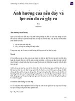 Ảnh hưởng của nền đáy và lực cản do cá gây ra