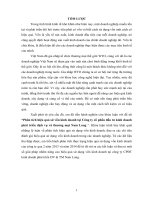 Phân tích hiệu quả sử vốn kinh doanh tại công ty cổ phần đầu tư kinh doanh phát triển dịch vụ và thương mại nam long 