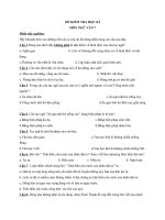 Đề kiểm tra ngữ văn 7 có lời giải