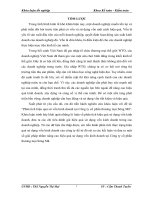 Phân tích hiệu quả sử dụng vốn kinh doanh tại công ty cổ phần thương mại sông mã 