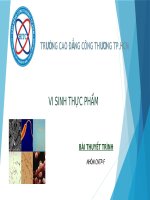 Thuyết trình môn vi sinh thực phẩm tìm hiểu vai trò của nấm men trong sữa chua