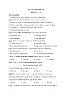 Đề kiểm tra ngữ văn lớp 7 có đáp án