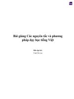 Bài giảng các nguyên tắc và phương pháp dạy học tiếng việt