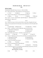 Đề kiểm tra học kỳ ngữ văn 7