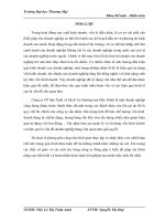 Phân tích hiệu quả việc sử dụng vốn kinh doanh tại công ty cổ phần sản xuất và dịch vụ thương mại đức minh 