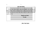 Luận văn thạc sĩ chiến lược marketing sản phẩm mới – ô tô dưới 9 chỗ ngồi của Honda Việt Nam