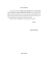 Luận văn thạc sỹ Quản lý nhà nước đối với các cơ sở bán lẻ hàng hóa có vốn đầu tư nước ngoài trên địa bàn tỉnh vĩnh phúc1 